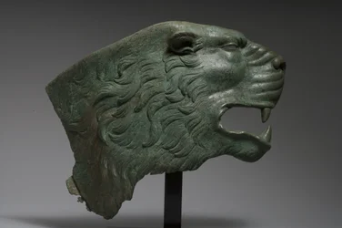 Peau de lion (bronze)